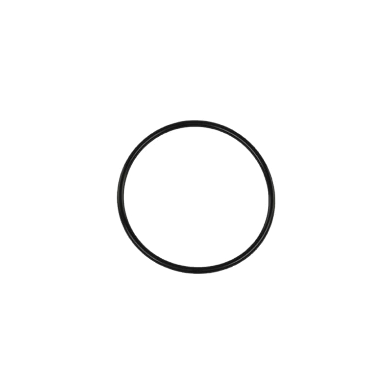 RacePort & Big Bubba flange O-Ring