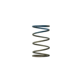 Gen4 IWG WG38/40/45/50L 10PSI OUTER SPRING – BROWN/BLUE