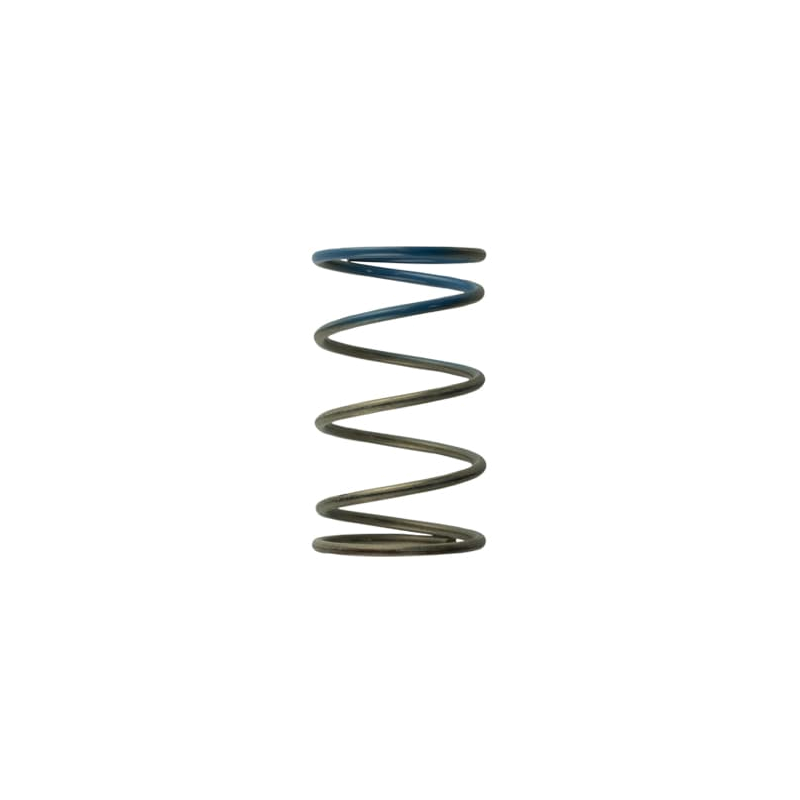 Gen4 IWG WG38/40/45/50L 10PSI OUTER SPRING – BROWN/BLUE